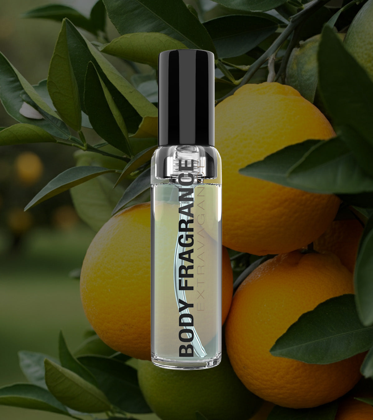 Body Fragrance